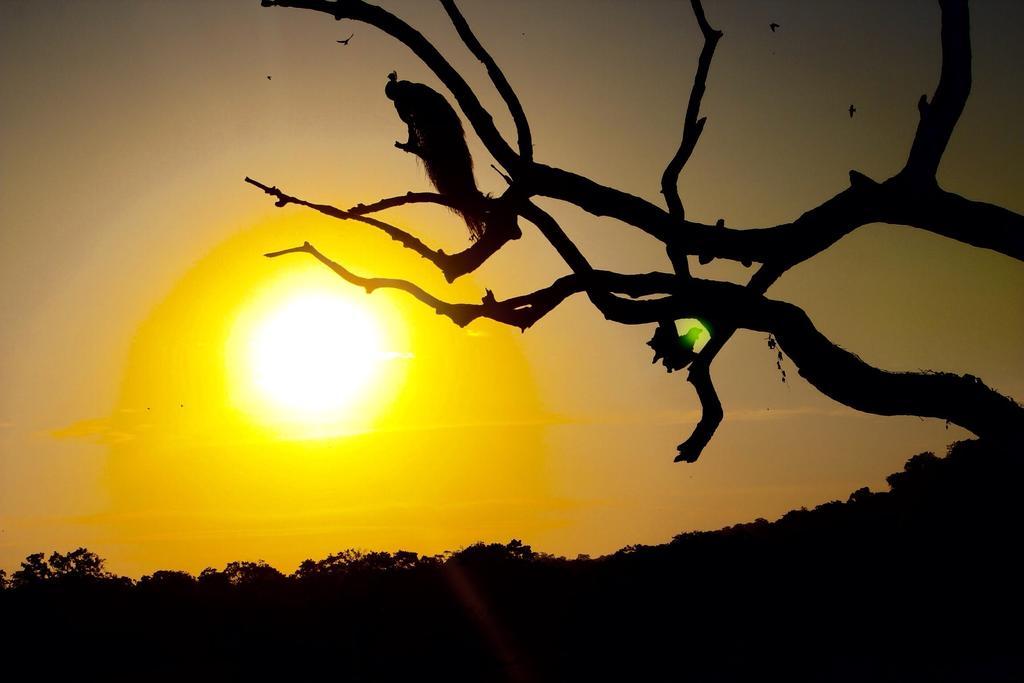 Kataragama Homestay エクステリア 写真