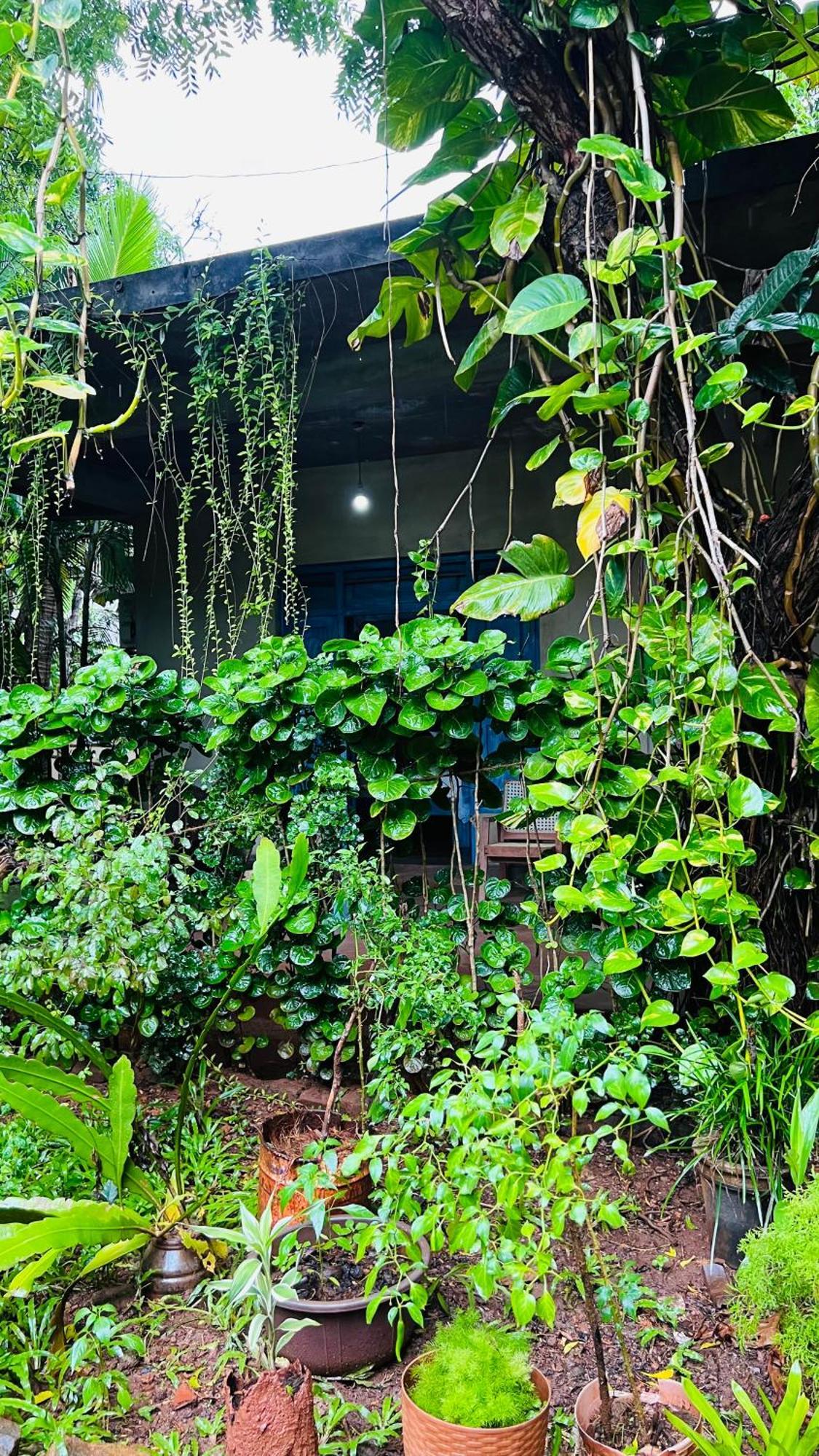 Kataragama Homestay エクステリア 写真