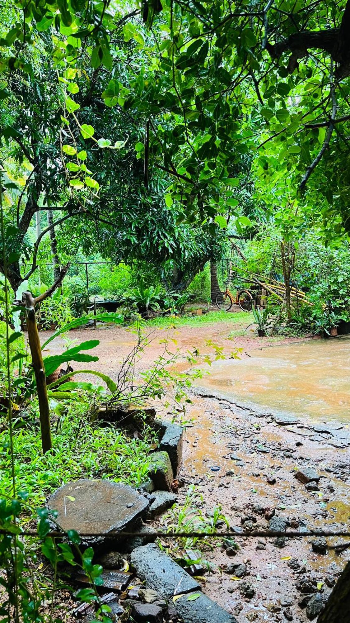 Kataragama Homestay エクステリア 写真