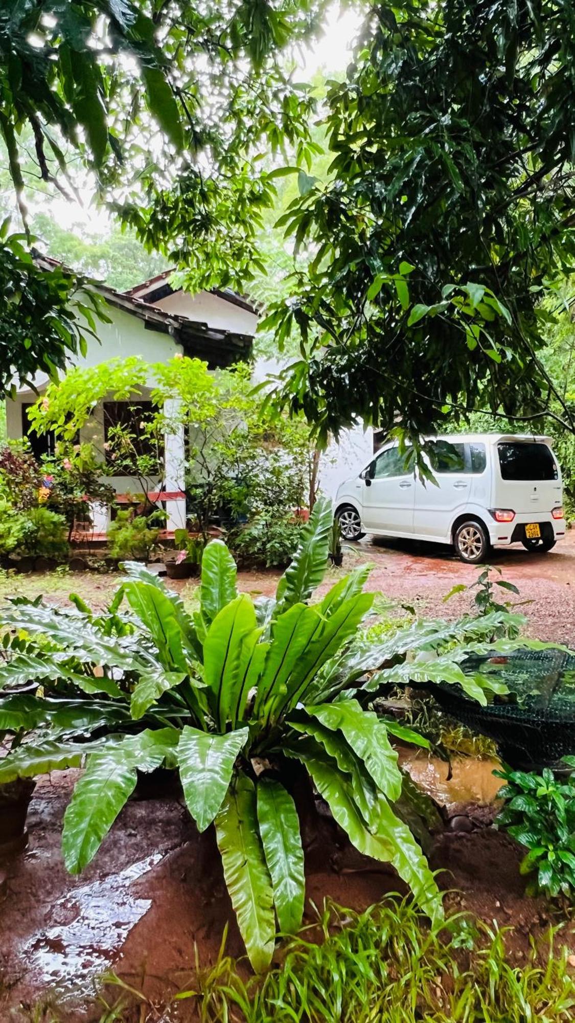Kataragama Homestay エクステリア 写真