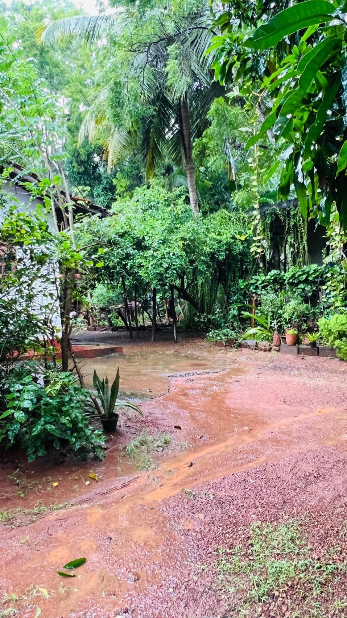 Kataragama Homestay エクステリア 写真