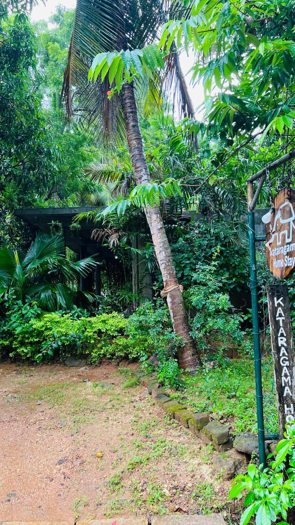 Kataragama Homestay エクステリア 写真
