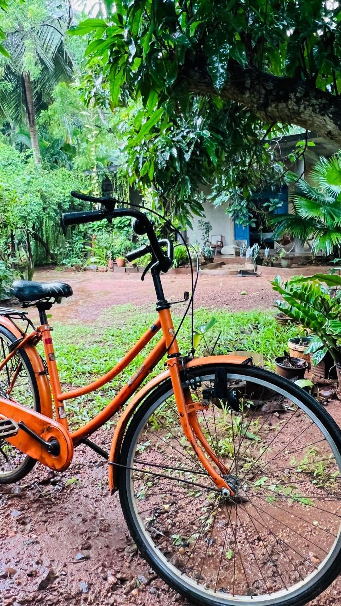 Kataragama Homestay エクステリア 写真