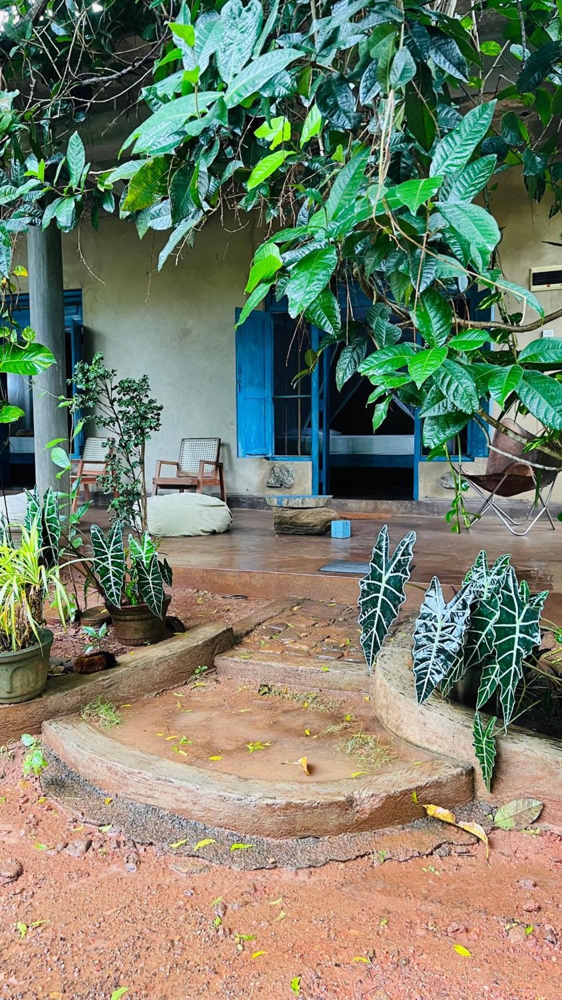 Kataragama Homestay エクステリア 写真
